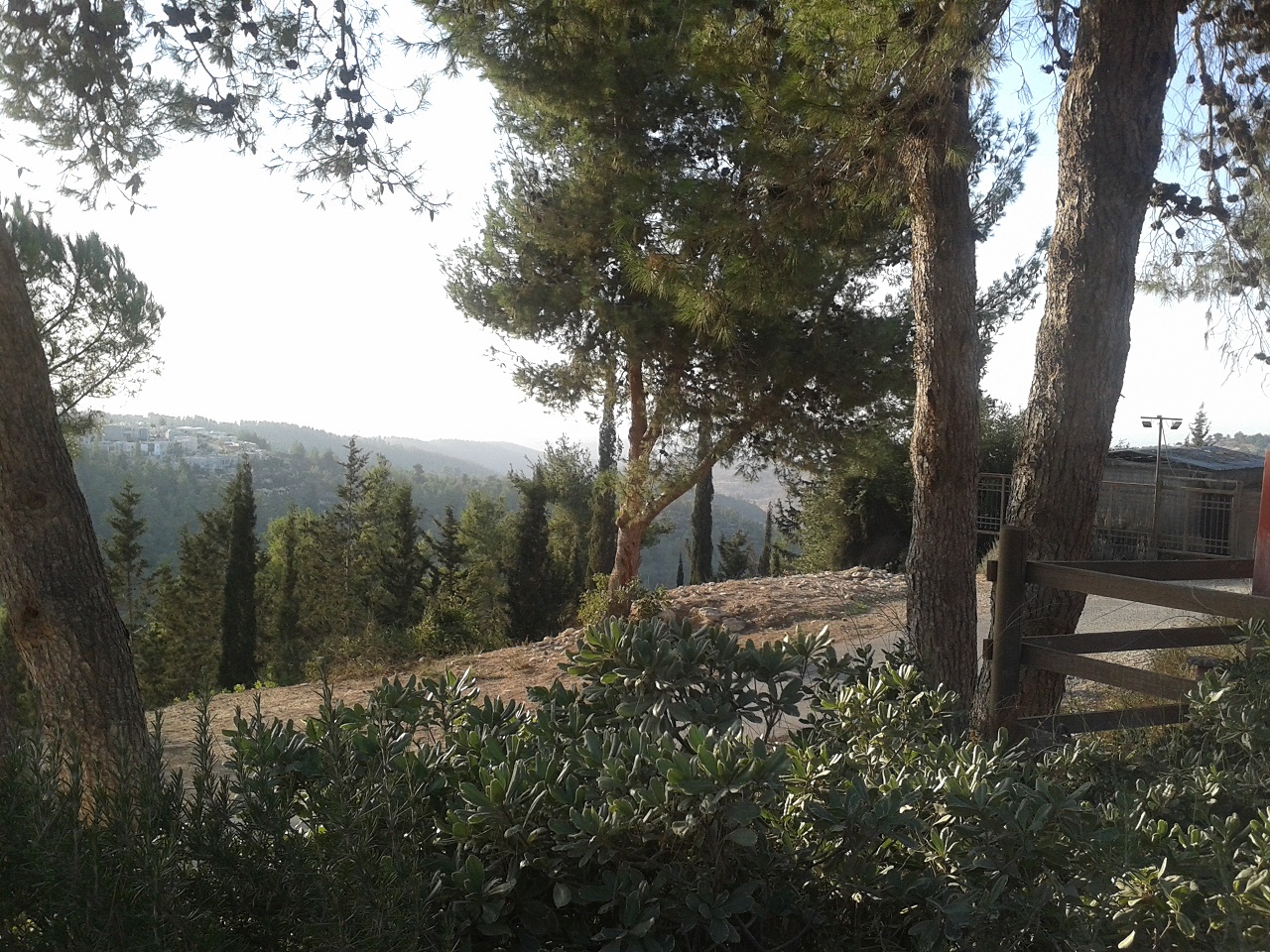 DAVID COUNTRY: Yad HaShmona, in the Judean hills, not far from the Valley of Elah where David defeated Goliath.
