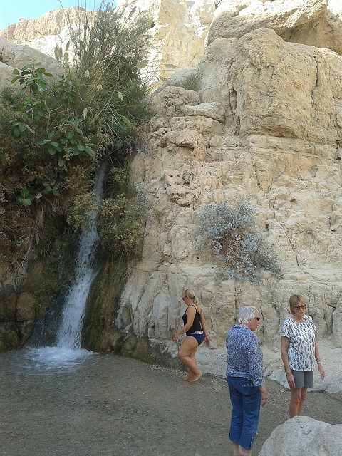 “I will pour water on the thirsty land, and streams on the dry ground…” (Isa 44:3). A refreshing scene at Ein Gedi in the Judean desert, on the shores of the Dead Sea. Picture: Charles Gardner