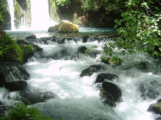 Springs of the Jordan at Banaias, Israel. See Photo Credits.