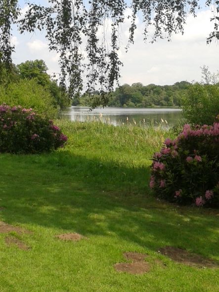 A tranquil scene at Clumber Park, just a few miles from the village of Babworth which saw the beginnings of the Separatist movement that would eventually trigger an exodus to America. Photo: Charles Gardner