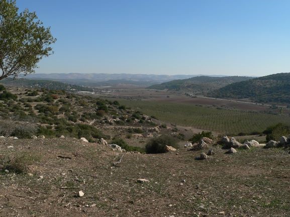 Elah valley, the site of David’s fight with Goliath. Photo: David Longworth