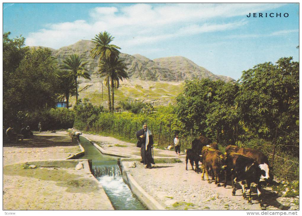 Elisha's Spring at Jericho, 1950s