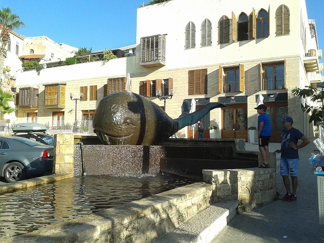 Jonah's Jaffa - a tribute to the whale that brought him back. Photo: Charles Gardner
