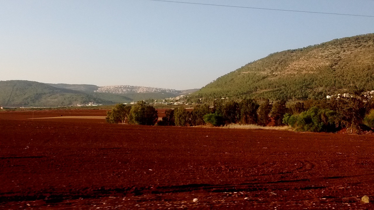 LAND OF MILK AND HONEY: The verdant hills of Galilee. Photo: Charles Gardner