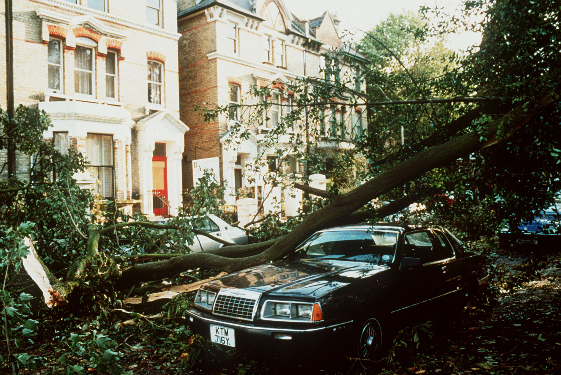 Hurricane damage, 1987. See Photo Credits.