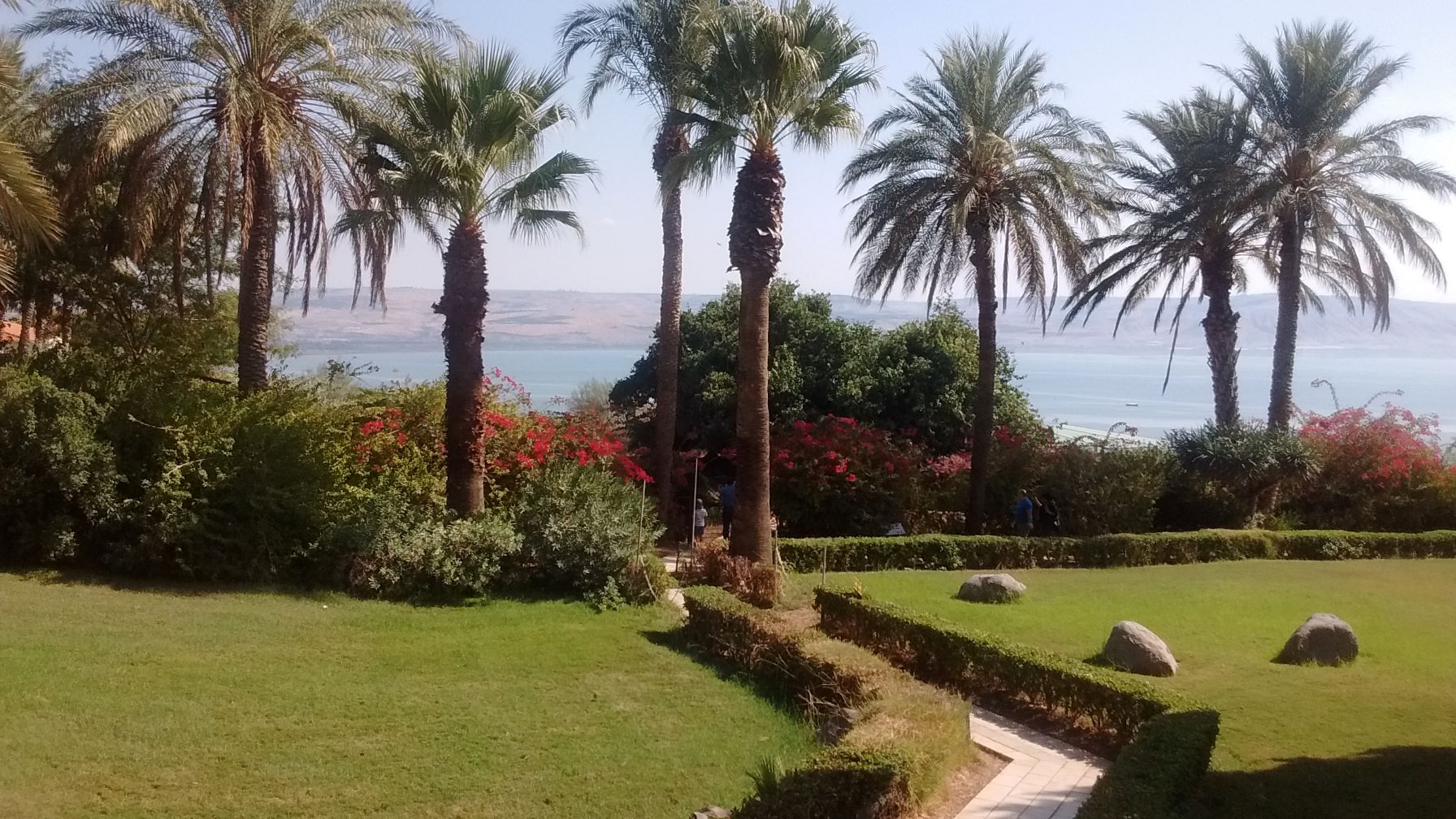 The Sea of Galilee from the Church of the Beatitudes in the region where Jesus performed many of his miracles. Photo: Charles Gardner