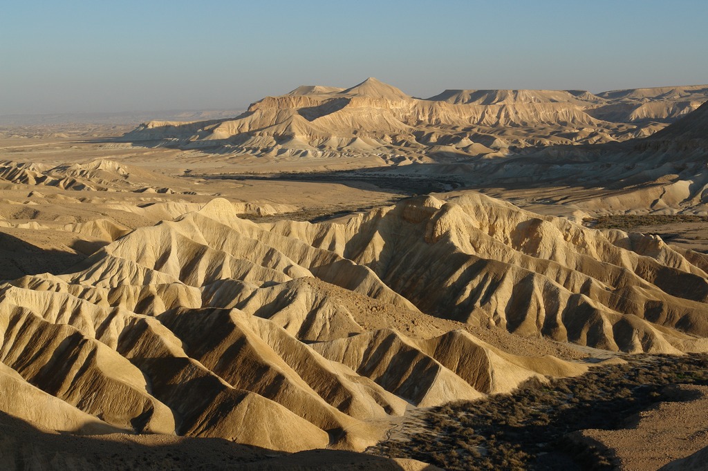 The Wilderness of Zin. See Photo Credits.