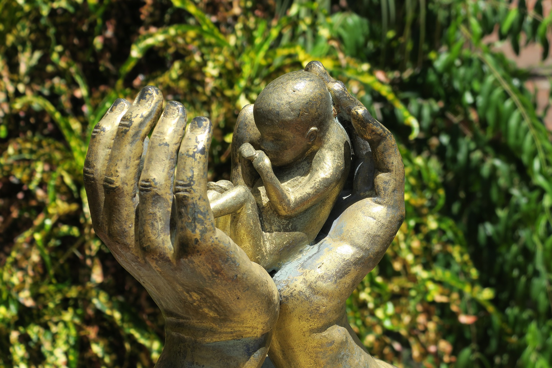 Abortion was the leading cause of death worldwide last year.