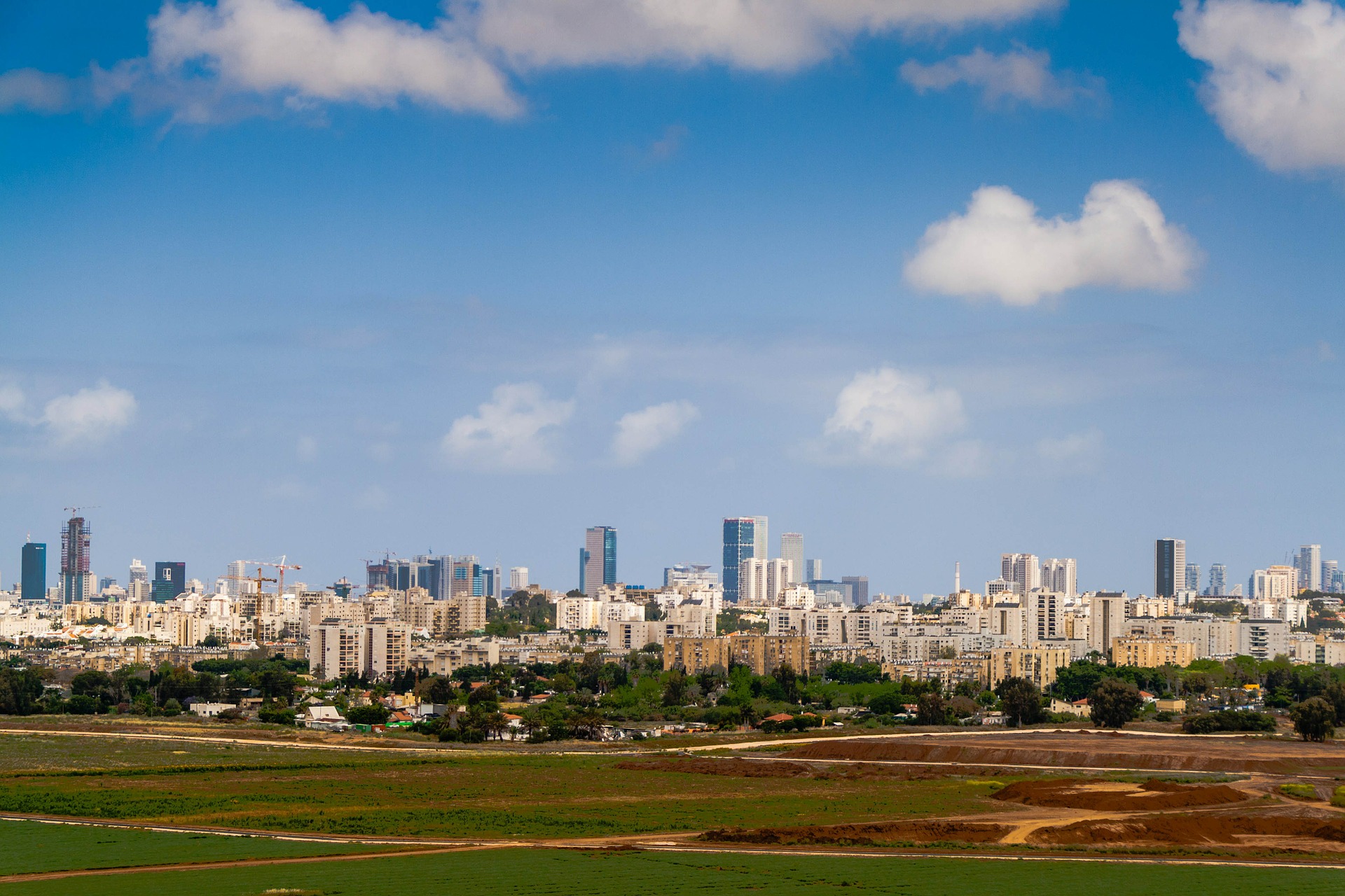 Flourishing: the land of Israel has been brought back to life. See Photo Credits.