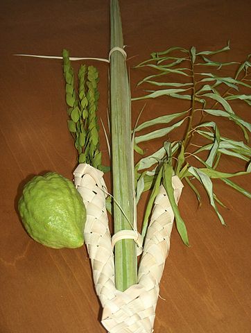Lulav and etrog (see Photo Credits).