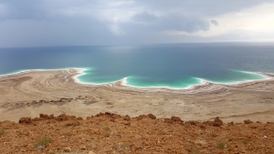 Dead Sea Comes to Life!
