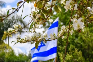 Israel&#039;s Earthly Deed