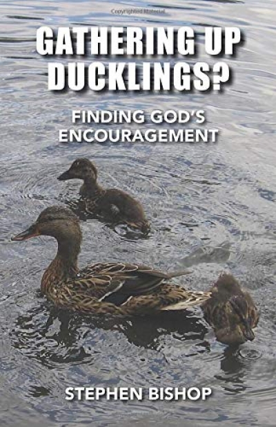 Review: Gathering Up Ducklings?