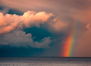 Disappointment, rejection and grief