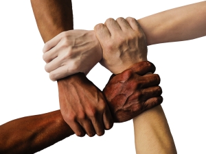 The Community of Believers (13)