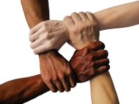 The Community of Believers (13)
