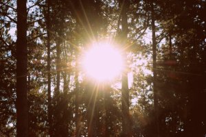 The End Times I: The Focus of All History