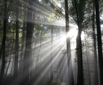 Prophetic Encouragement