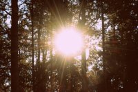 The End Times II: A Hebraic Approach to Reading Scripture