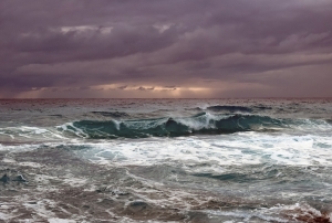Through the Storm: Reactions