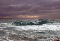 Through the Storm: Reactions