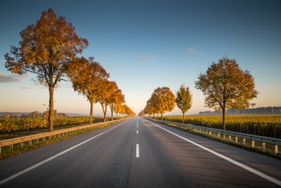 The Broad Road