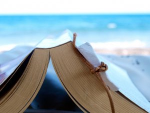 Summer Holiday Reading!