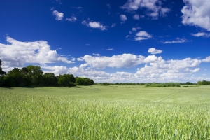 Unravelling the Shemitah ‘Mystery’