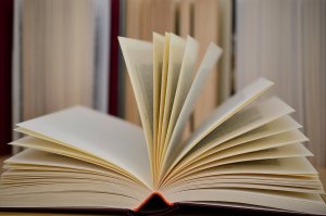 Bible Studies By Correspondence
