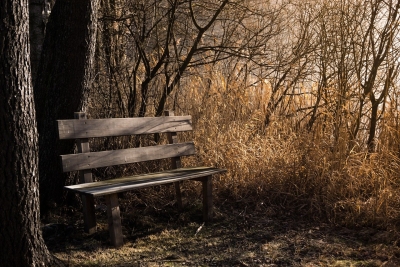 The Command to Rest