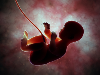 US Supreme Court Ruling on Abortion