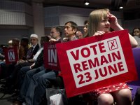 Rigging the Referendum?
