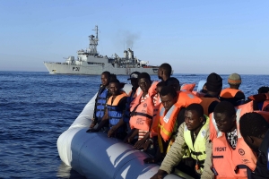 Migration Mayhem