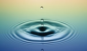 Peace in a Frantic World? The Challenge of Mindfulness
