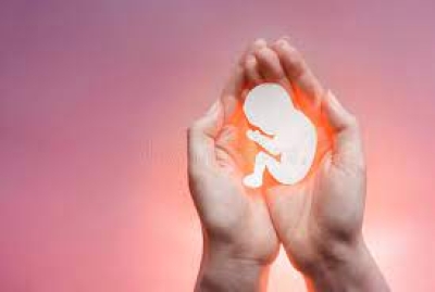 Covid and Abortion