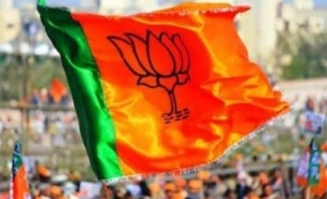 Flag of the Bharatiya Janata Party, India