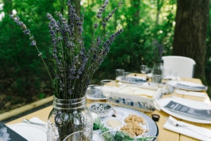 Passover: The Way to Peace