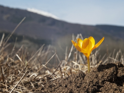 Resurrection Hope