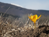 Resurrection Hope