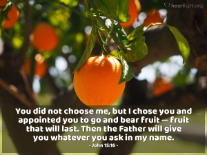The Gospel and the Kingdom - Part 3