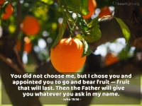 The Gospel and the Kingdom - Part 3