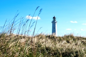 Through the Storm: Our Strong Tower