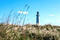 Through the Storm: Our Strong Tower