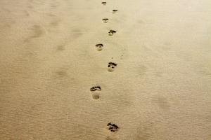 Comparing Greek and Hebrew Worldviews (4)