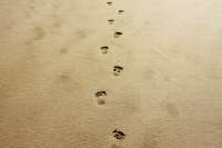 Comparing Greek and Hebrew Worldviews (4)