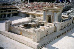 Towards Understanding Ritual Purity
