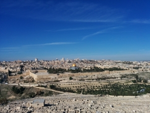 Jerusalem from the Mt of Olives, where Princess Alice is buried.