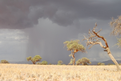 Praying for Rain