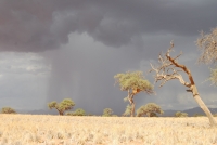 Praying for Rain