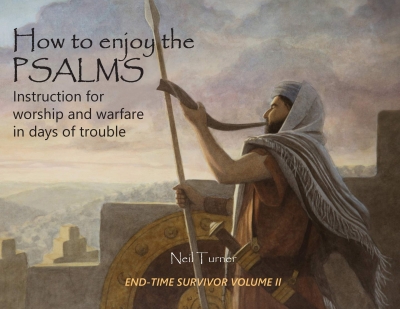 Review: How to Enjoy the Psalms